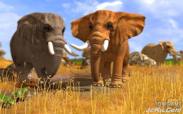 动物园模拟新作《野生动物园大亨3》公开 1